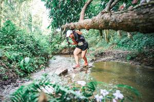 BIB: 
                            <button type="button" onclick="openModal(25518141)" class="btn btn-primary btn-sm float-right btn-popup" data-toggle="modal" data-target=".modal-high-quality">
                        <i class="fas fa-shopping-cart"></i> Add to Cart
                    </button>
                                            <button type="button" onclick="isThisMe(25518141, true)" class="btn btn-success btn-sm float-right btn-popup btn-isme hidden" data-toggle="tooltip" data-placement="bottom" title="นี่คือรูปของคุณใช่ไหม คลิกที่นี่เพื่อเอาเข้าอัลบั้ม">
                        <i class="fas fa-plus"></i> Add to album
                    </button>
                    <button type="button" onclick="isThisMe(25518141, false)" class="btn btn-warning btn-sm float-right btn-popup btn-isnotme hidden">
                        <i class="fas fa-ban"></i> Remove from album
                    </button>